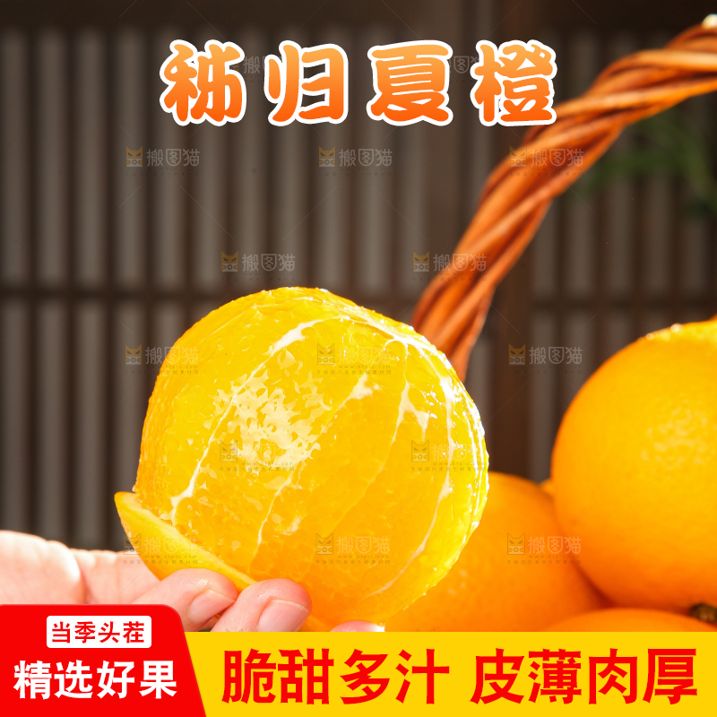 木底上的秭归夏橙