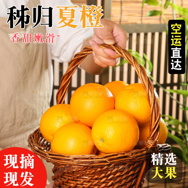 木底上的秭归夏橙