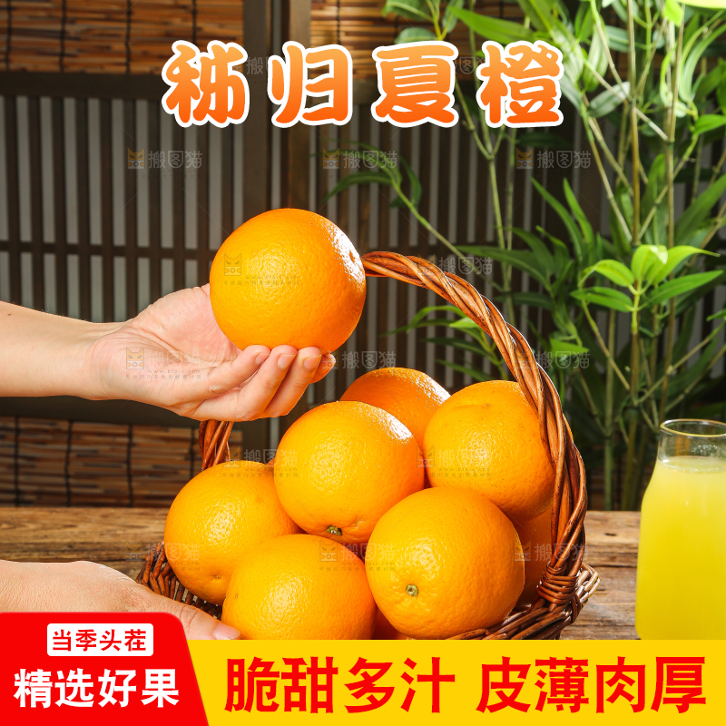 木底上的秭归夏橙