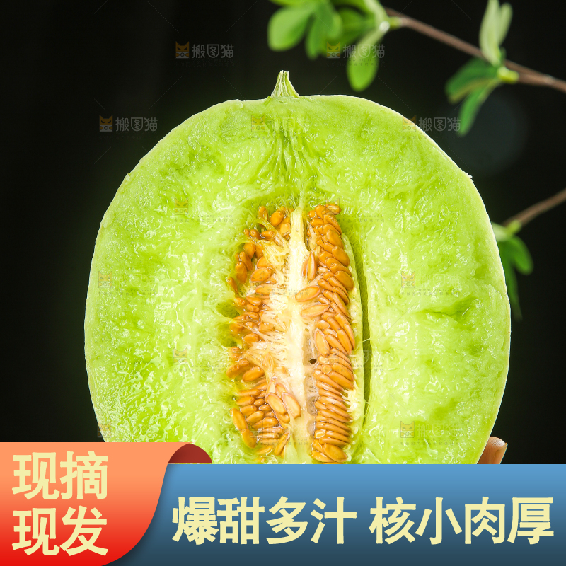 木底上的玉菇甜瓜