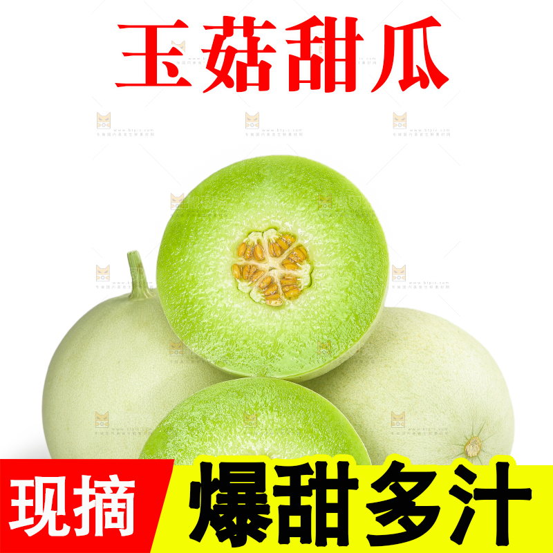 白底上的玉菇甜瓜