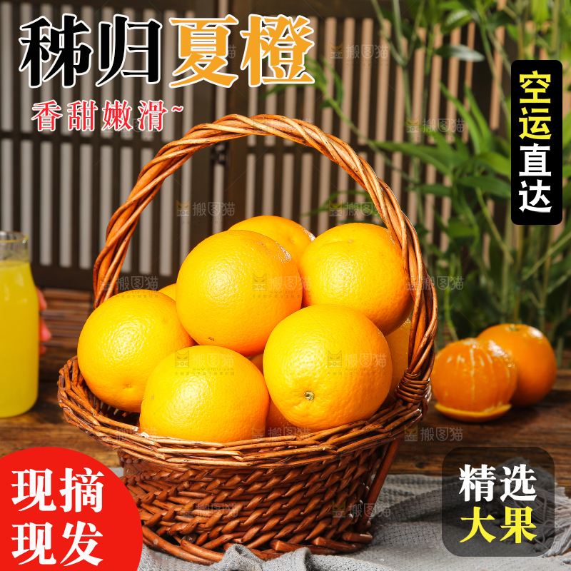 木底上的秭归夏橙