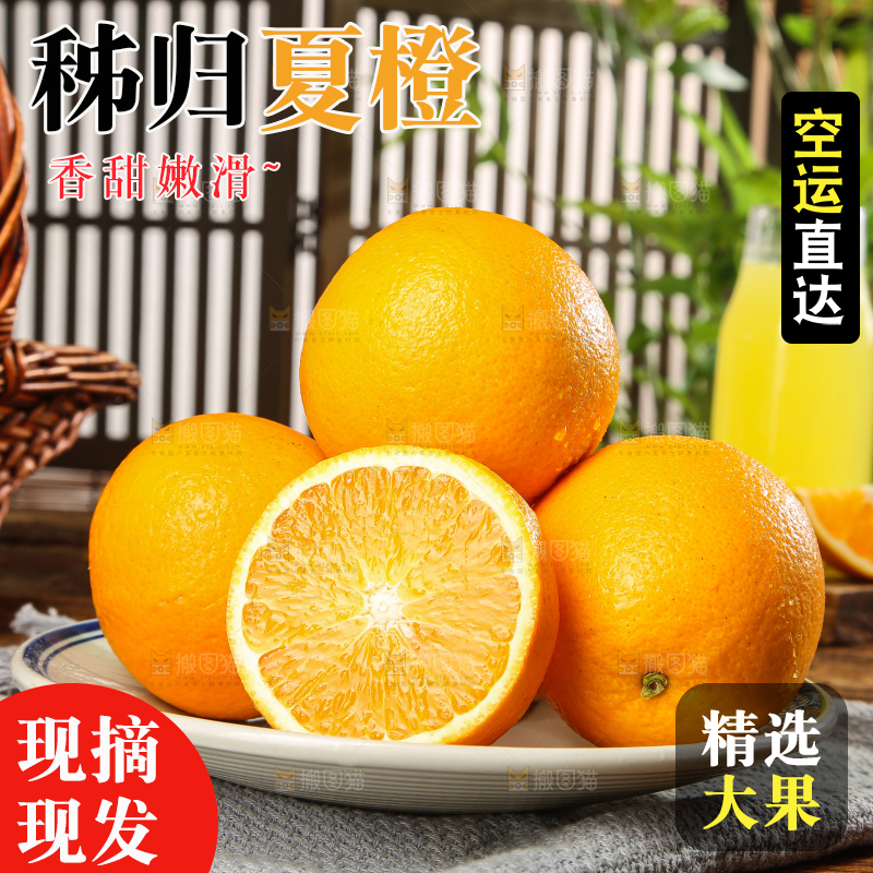 木底上的秭归夏橙