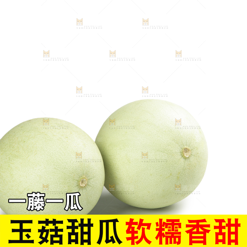 白底上的玉菇甜瓜