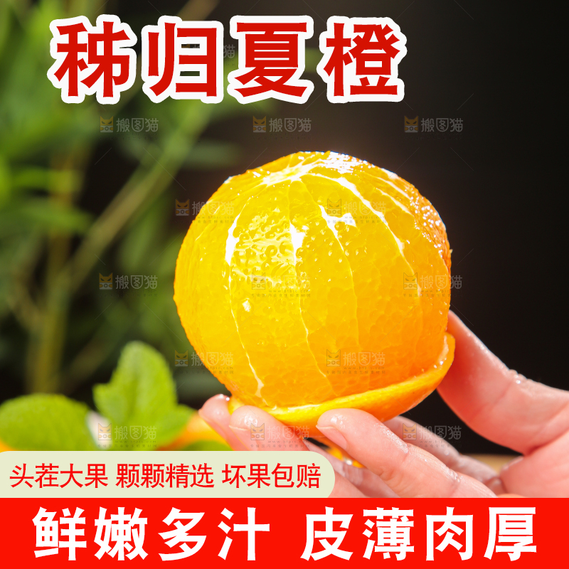 木底上的秭归夏橙
