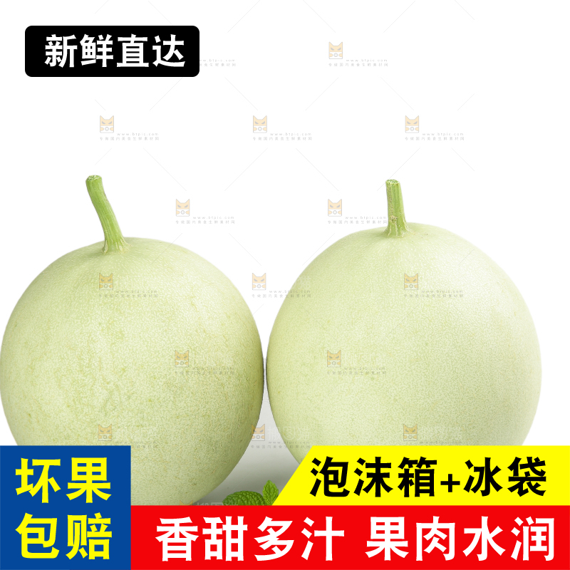 白底上的玉菇甜瓜