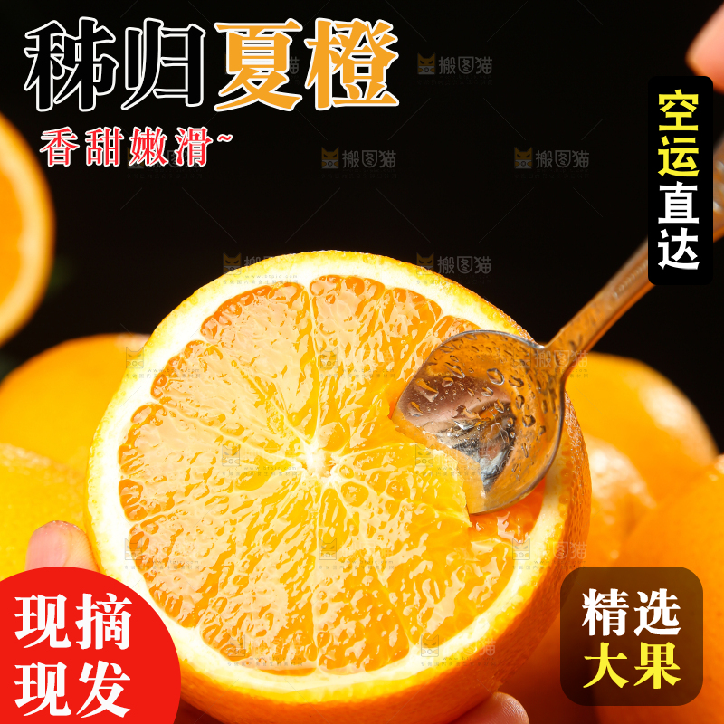 木底上的秭归夏橙