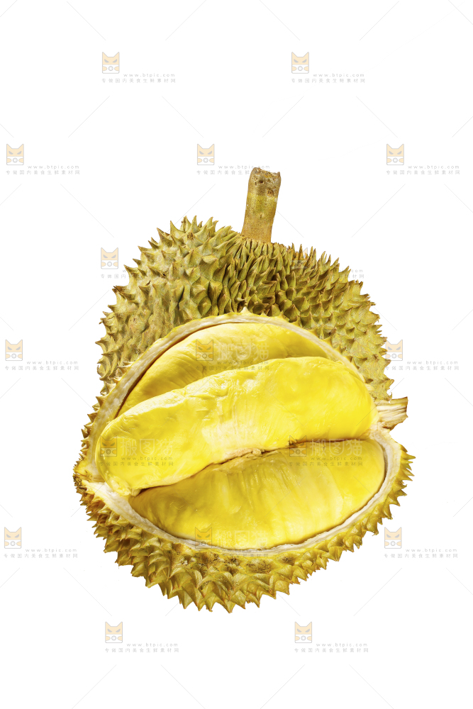 白底上的金枕榴莲