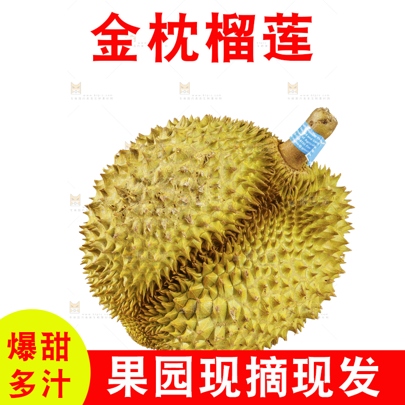 白底上的金枕榴莲