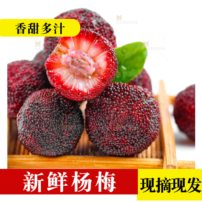 白底上的仙居杨梅