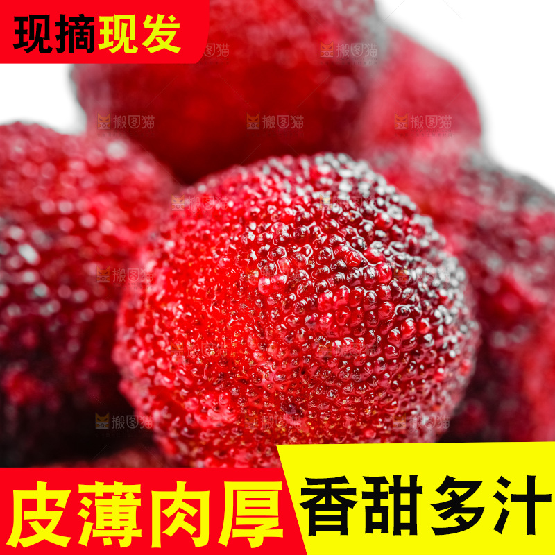 白底上的仙居杨梅