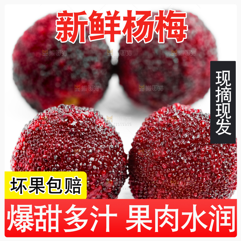 白底上的仙居杨梅