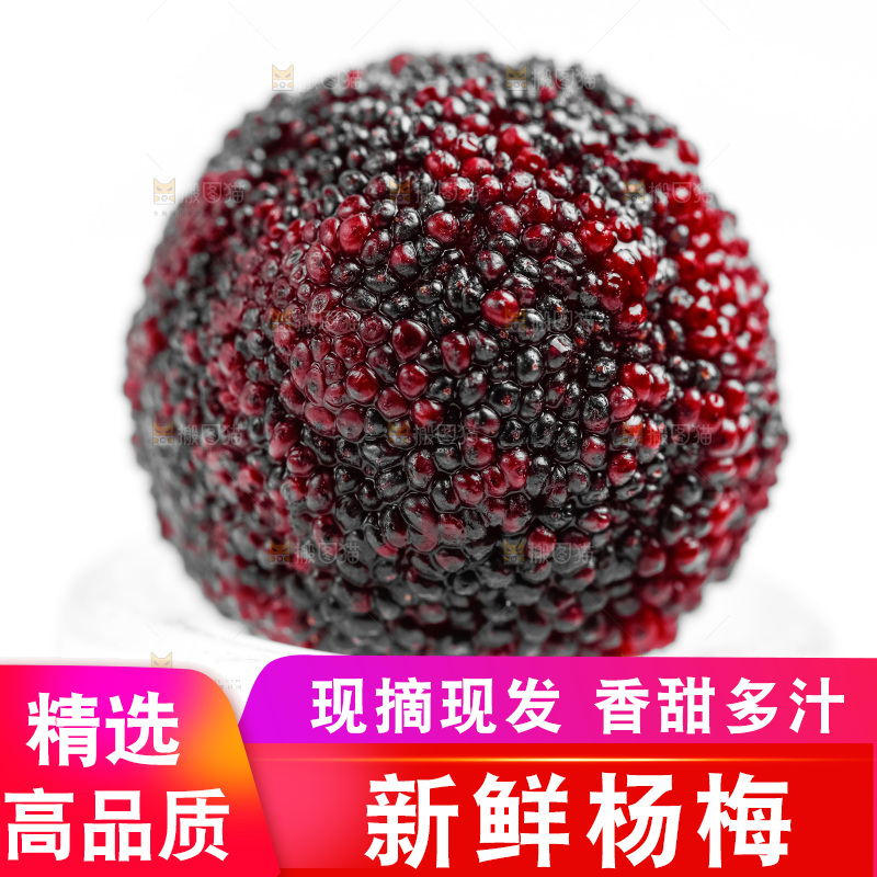 白底上的仙居杨梅