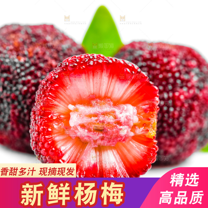 白底上的仙居杨梅