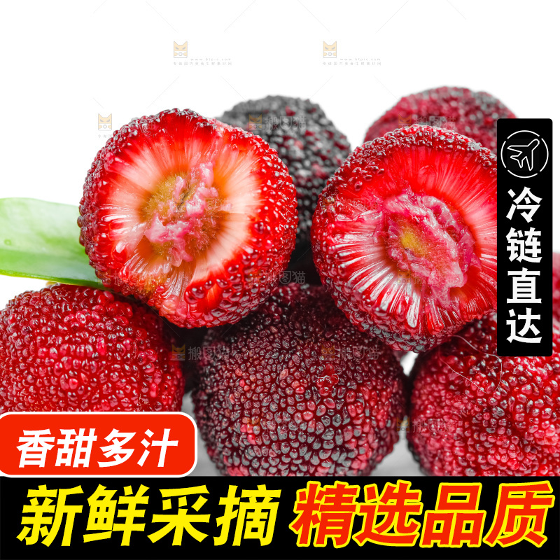白底上的新鲜杨梅