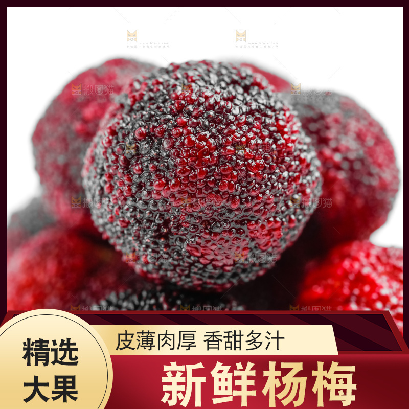 白底上的仙居杨梅