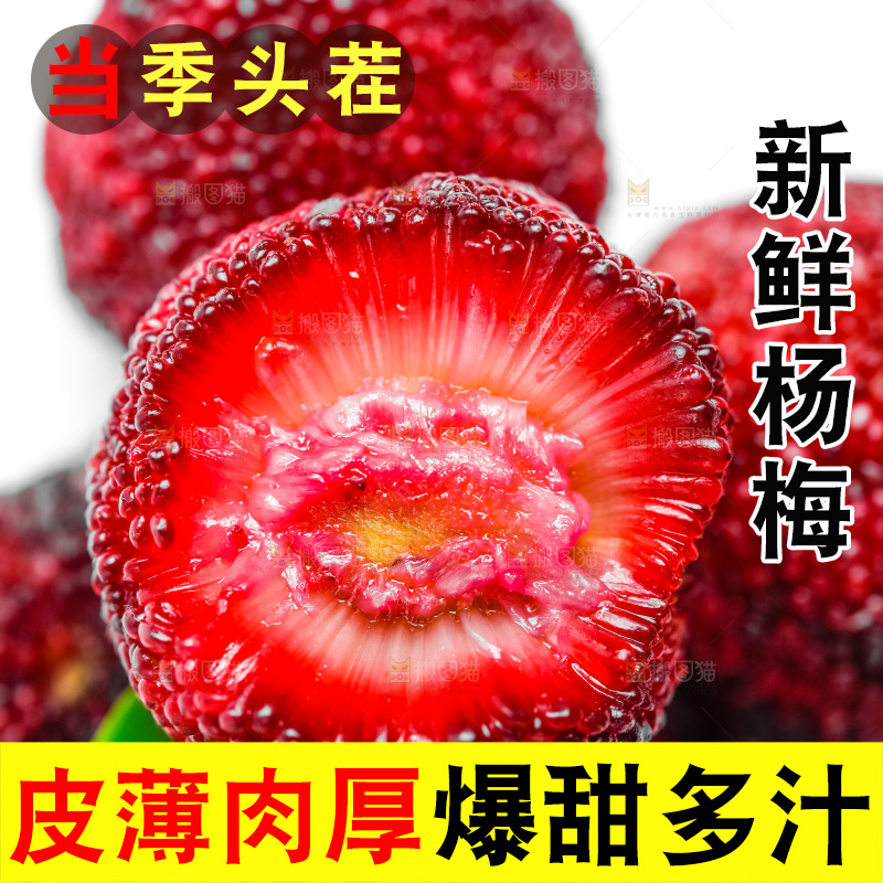 白底上的新鲜杨梅
