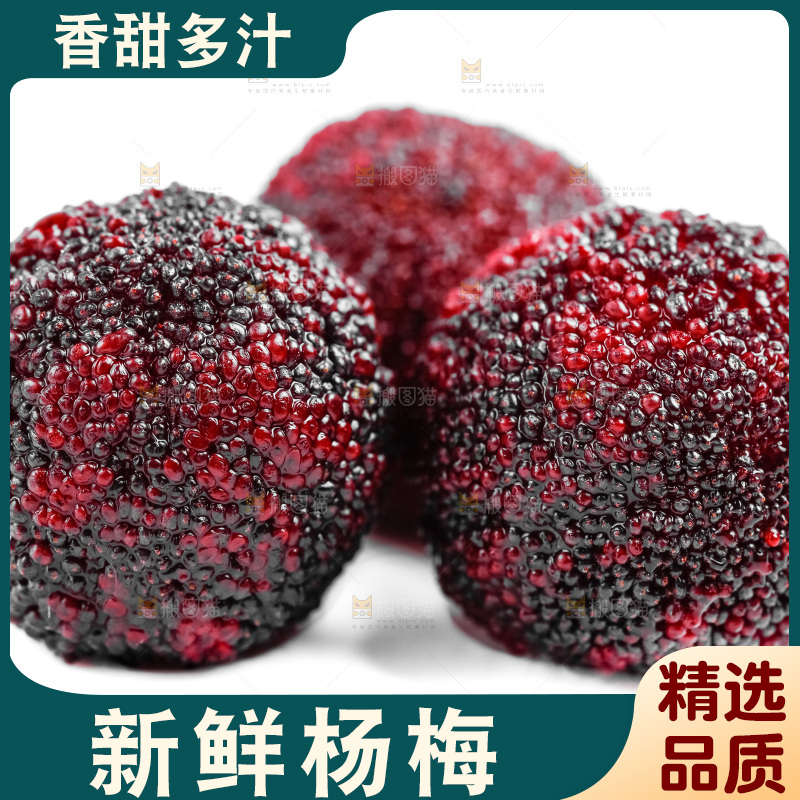 白底上的仙居杨梅