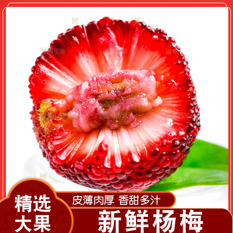 白底上的仙居杨梅