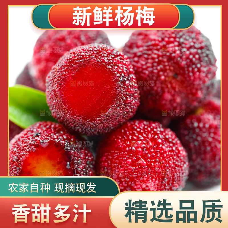 白底上的新鲜杨梅