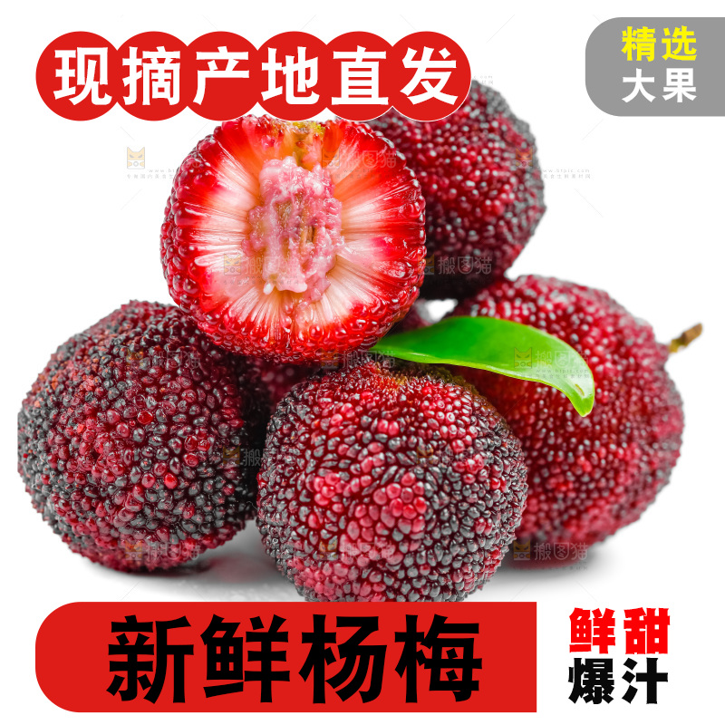 白底上的仙居杨梅
