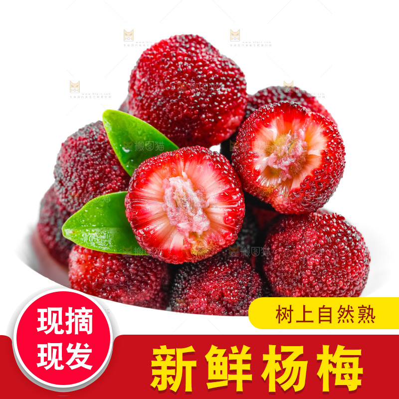 白底上的大杨梅