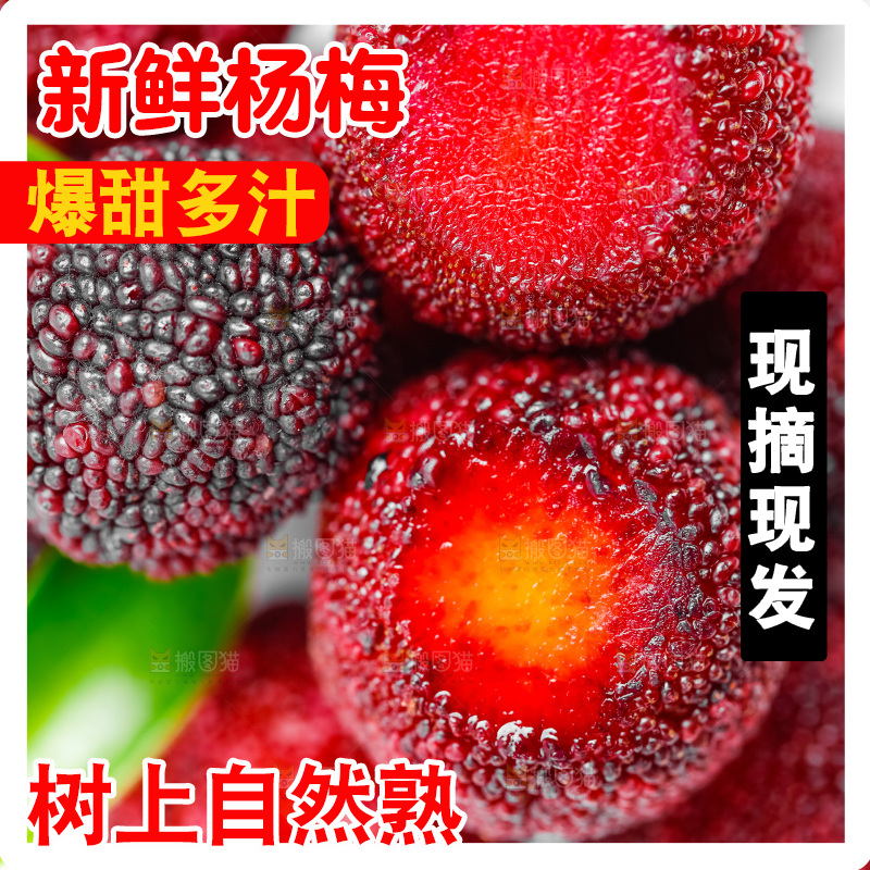 白底上的新鲜杨梅