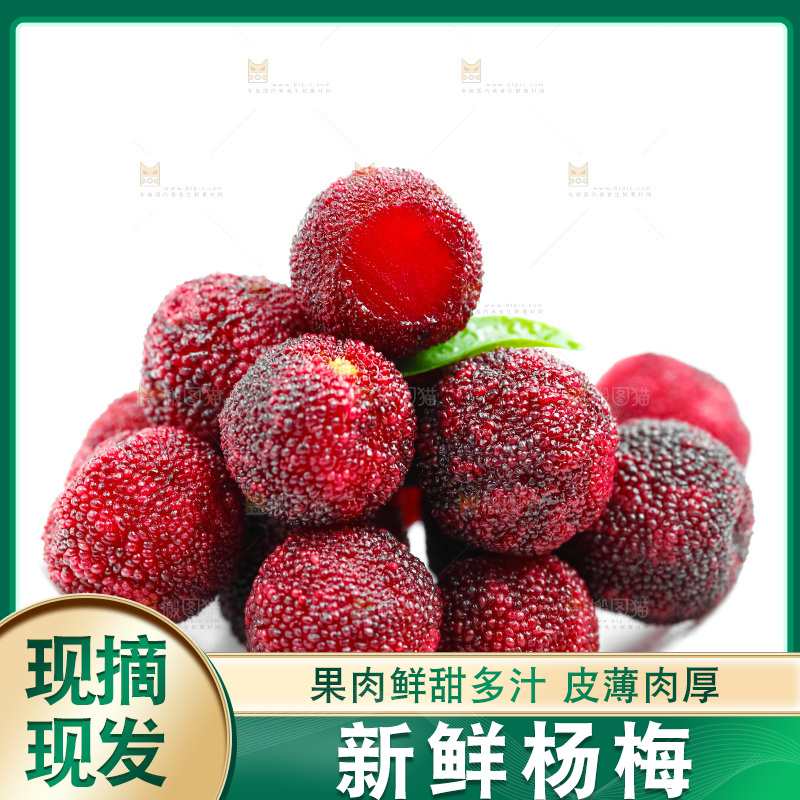 白底上的新鲜杨梅