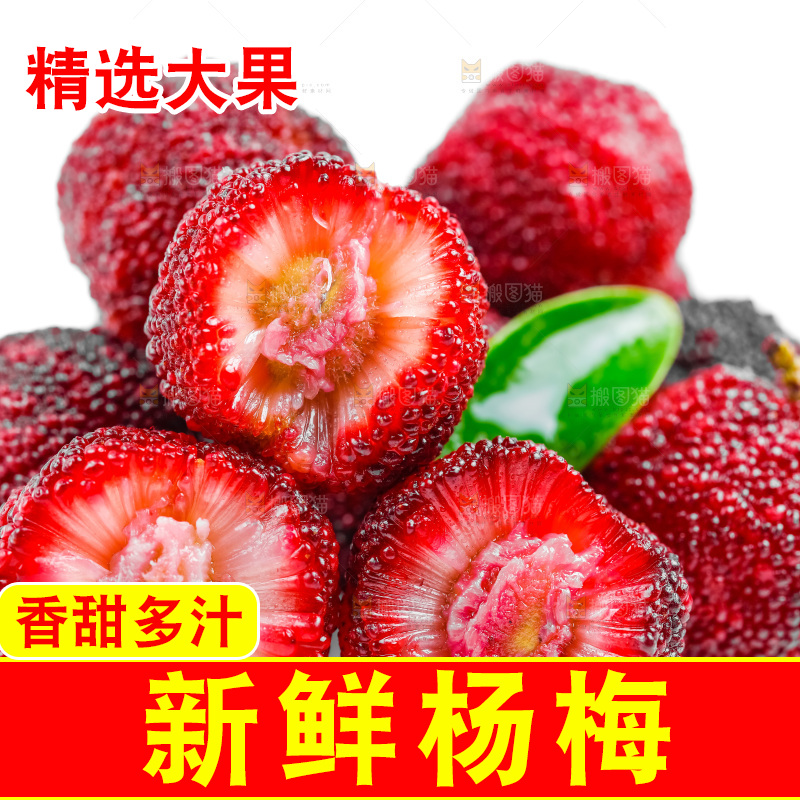 白底上的新鲜杨梅