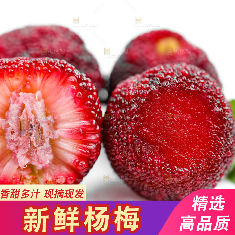 白底上的新鲜杨梅