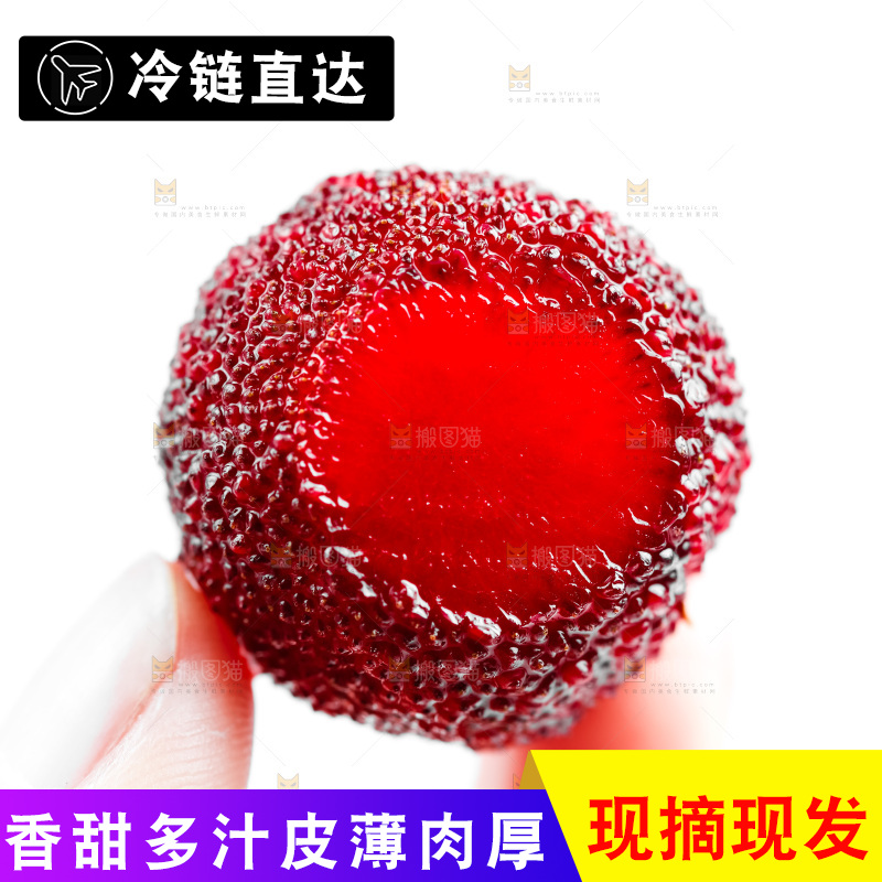 白底上的鲜杨梅