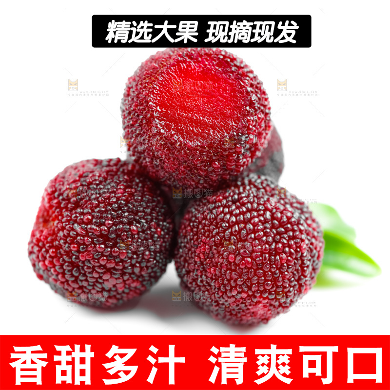 白底上的鲜杨梅