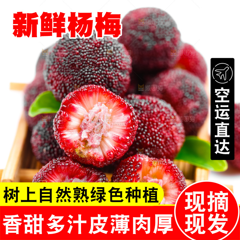 白底上的大杨梅