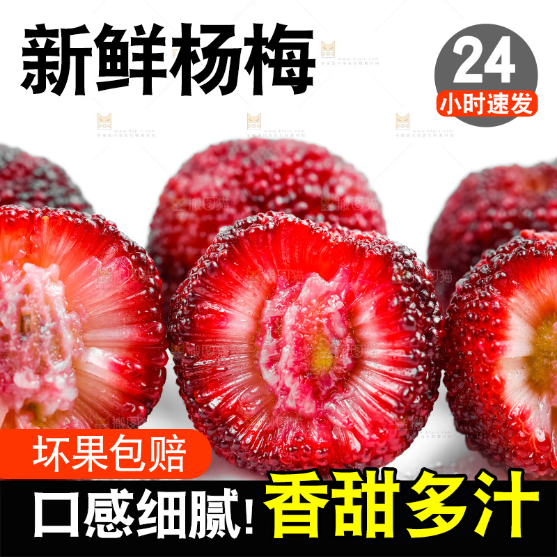 白底上的新鲜杨梅