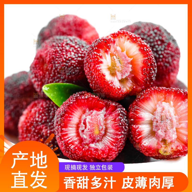 白底上的大杨梅