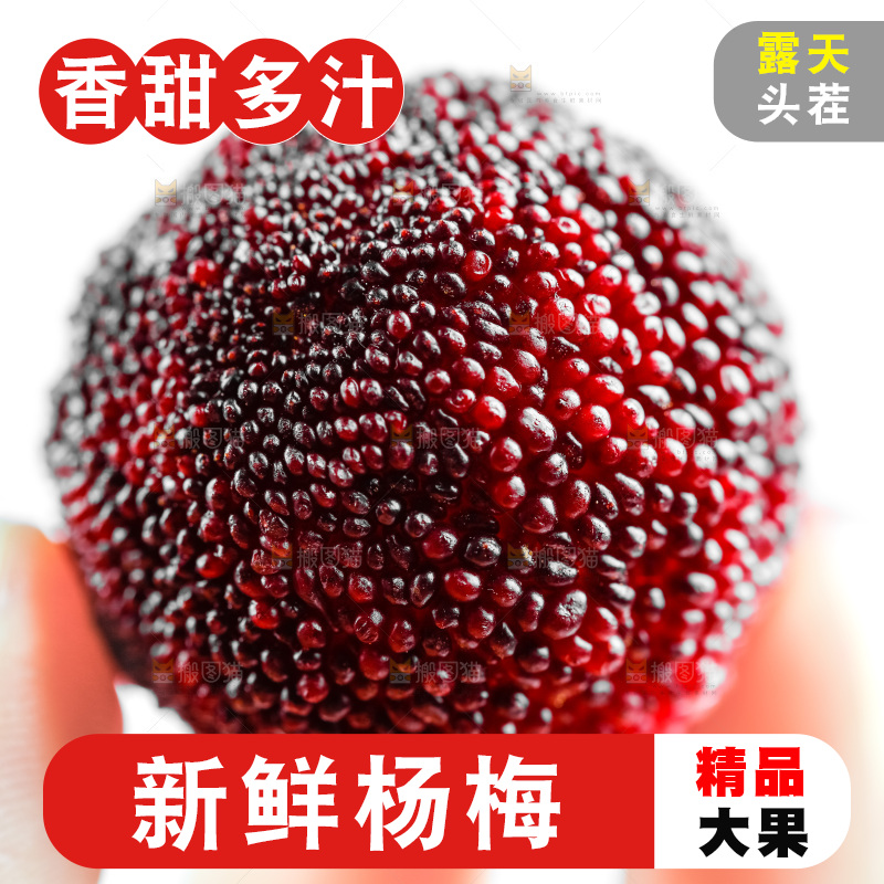 白底上的鲜杨梅