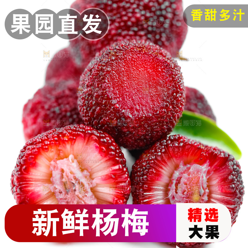 白底上的新鲜杨梅