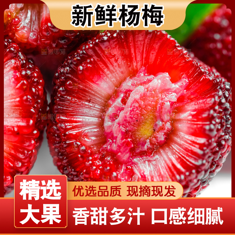 白底上的大杨梅