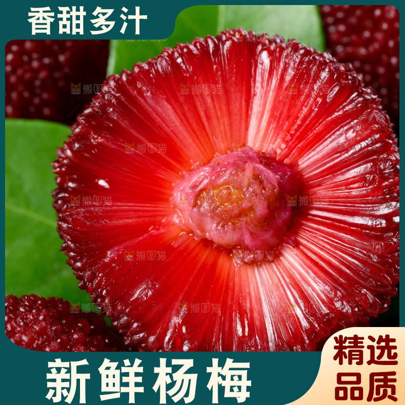 堆放着的杨梅