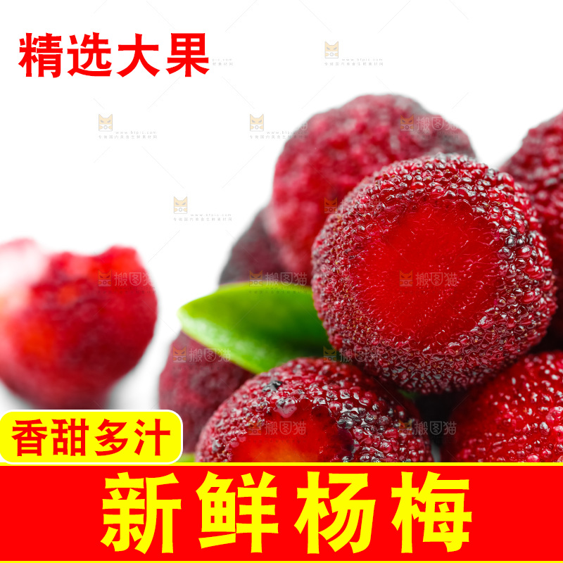 白底上的新鲜杨梅