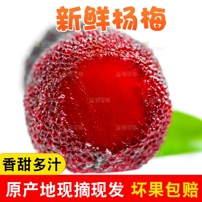 白底上的鲜杨梅