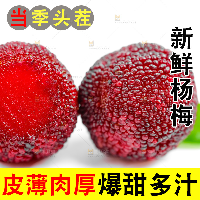 白底上的鲜杨梅
