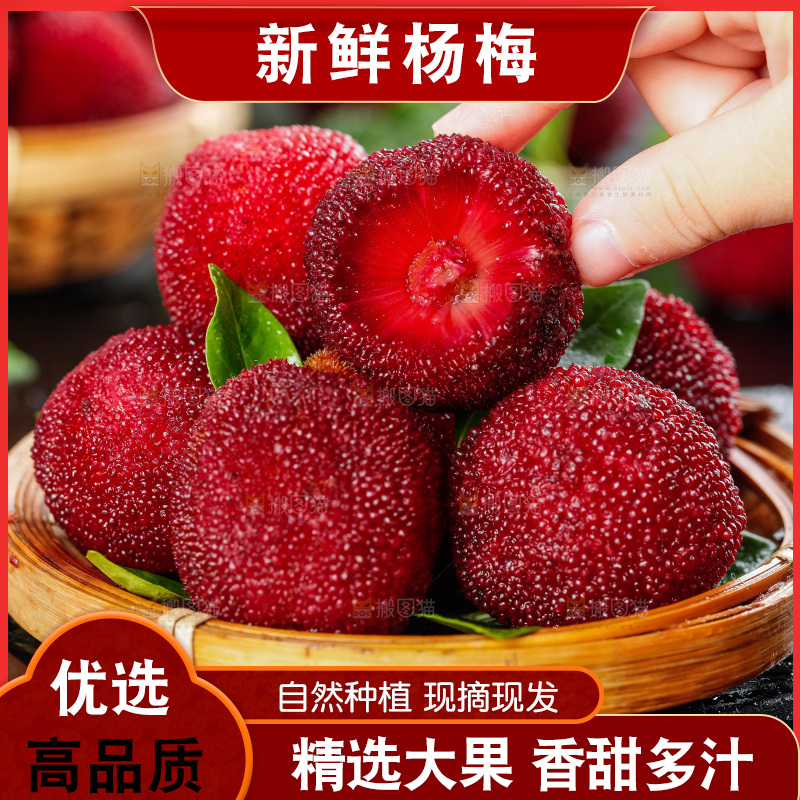 深底上的东魁杨梅