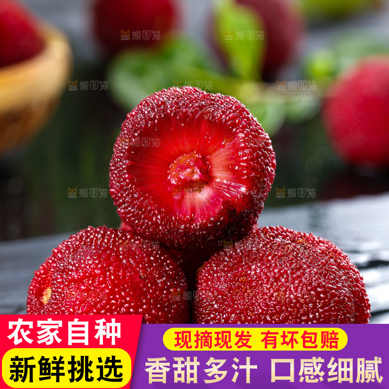 深底上的东魁杨梅