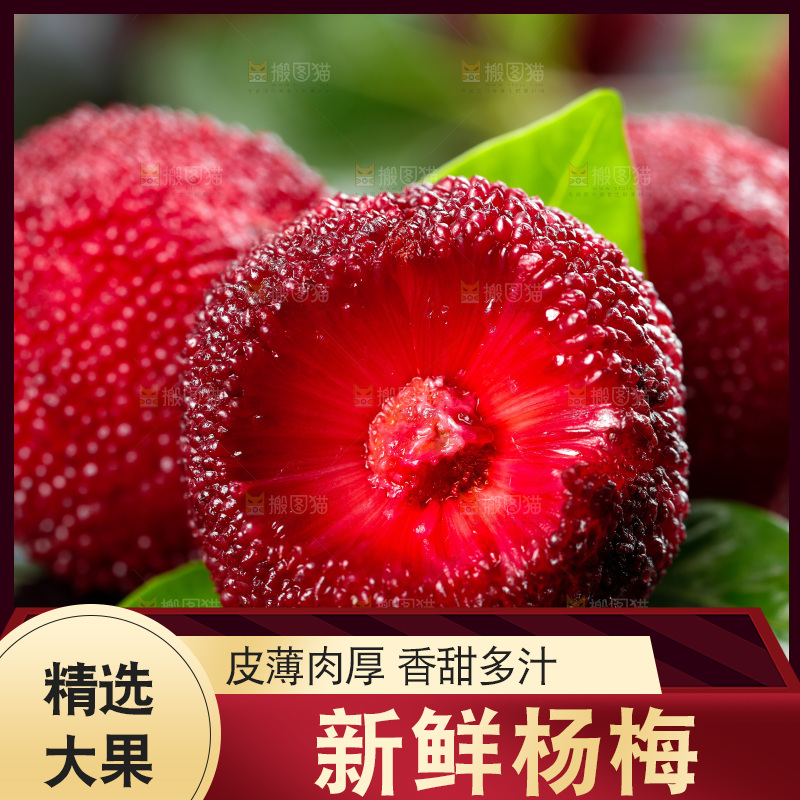 深底上的东魁杨梅