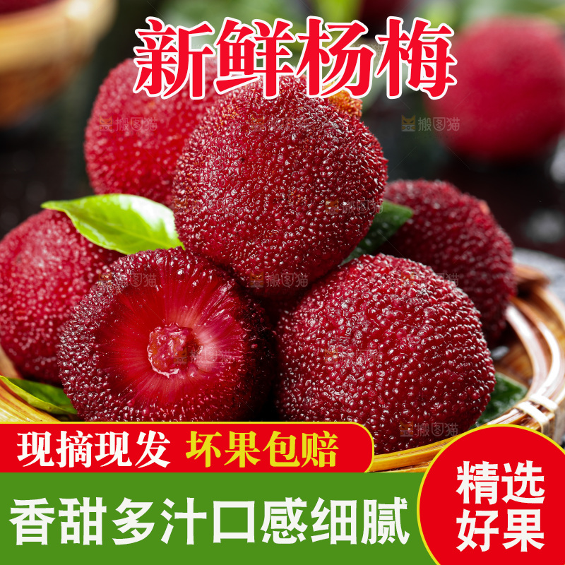 深底上的仙居杨梅