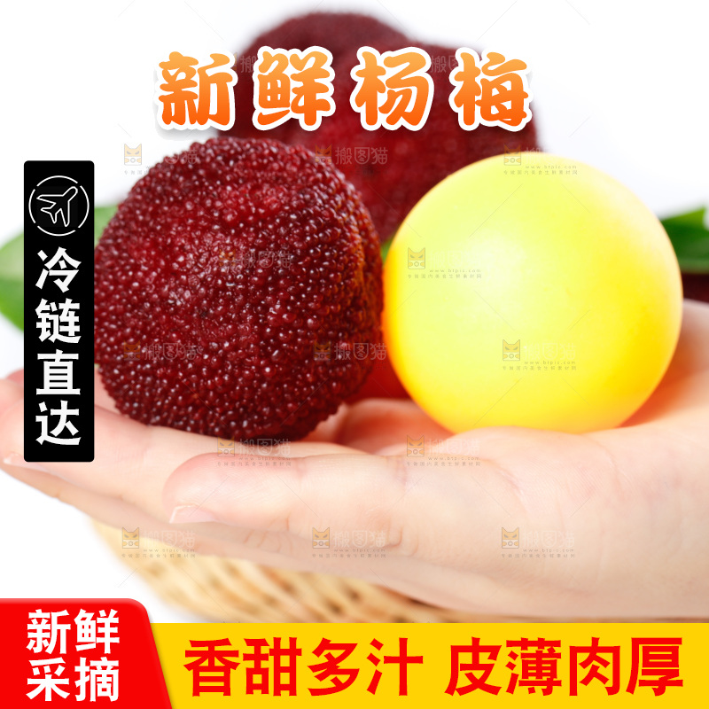 白底上的新鲜杨梅