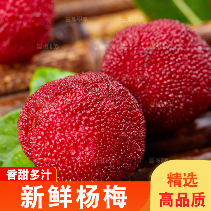 深底上的仙居杨梅