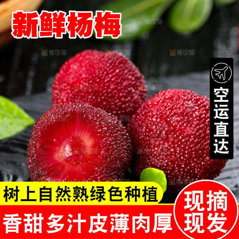 深底上的仙居杨梅