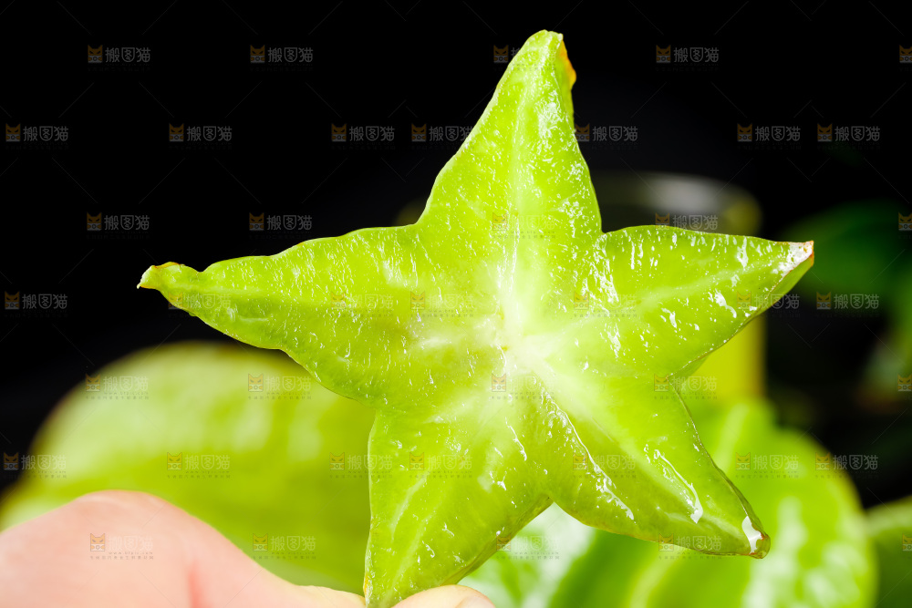深底上的漳州杨桃